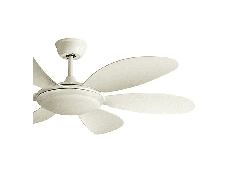 Ventilador de techo - Wonderlamp MARY, 25 W, 5 velocidades, Blanco