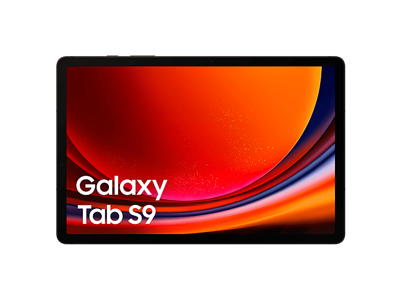 Tablet - Samsung Enterprise Edition SM-X716B, 128 GB, Gris, 11,0 " WQXGA, 8 GB RAM, Snapdragon, Tablet Android