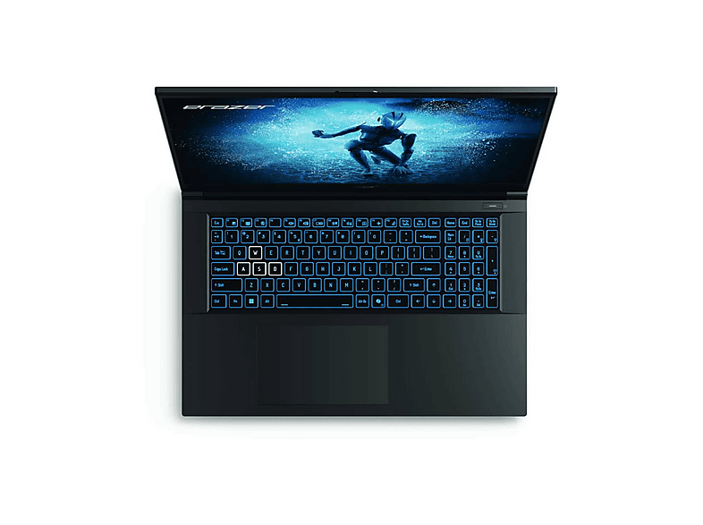 Portátil gaming - Medion P50I I7-13620H/16/1RTX4060/W11, 17,3 " Full-HD, Intel® Core™ i7-13620H, 16 GB RAM, 1 TB SSD, GeForce RTX™ 4060, Plata
