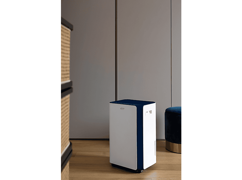 Deshumidificador - Argoclima 492000097, 4,5 l, 65 m², Multicolor