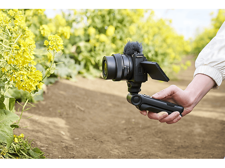 Cámara - Sony, Cámara EVIL – Sony ZV-E10L con Objetivo Intercambiable 16-50 mm II (24.2 MP, Vídeo 4K, Eye AF en Tiempo Real, Pantalla Abatible)