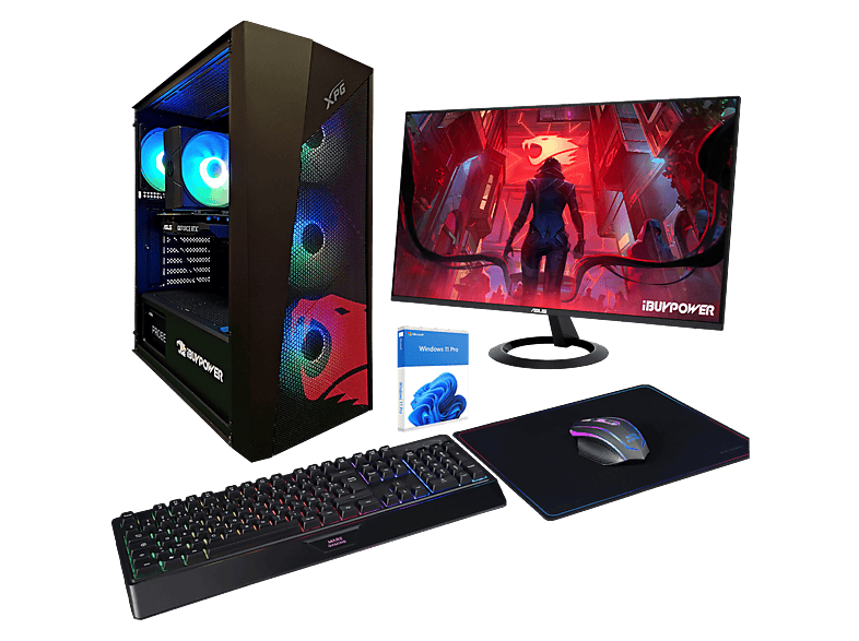 Pack PC Gaming - Ibuypower Fighter Warcry X Lite, AMD Ryzen 5 5500, 16 GB RAM, 1 TB SSD, GeForce RTX™ 5060, Windows 11 Pro, Monitor 24 " Full-HD