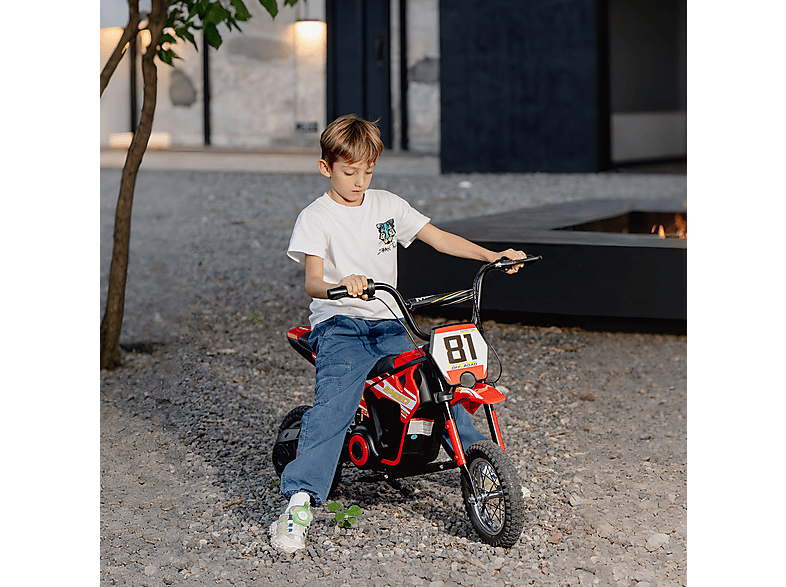 Moto eléctrica infantil - Aiyaplay 370-393V90RD