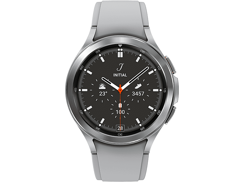 Smartwatch - Samsung SM-R890NZSADBT, 45,5 mm, Acero inoxidable, Plata