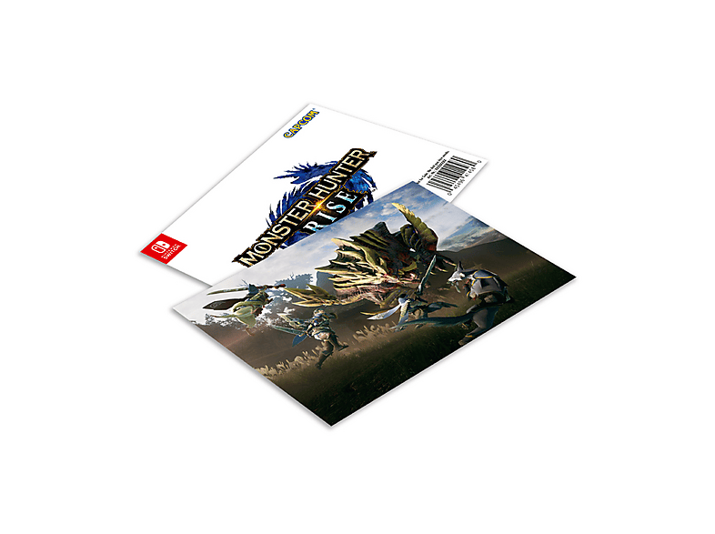 Consola Nintendo Switch - Nintendo NINTENDO SWITCH EDICION MONSTER HUNTER RISE (EDICI, 32 GB, Gris