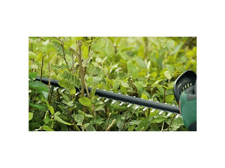 Cortasetos - Bosch Home And Garden UniversalHedgeCut 18V-55, Verde