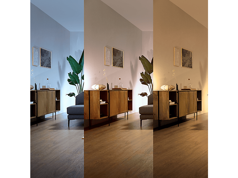 Ventilador de techo - Philips BLISS DC 28W+35W 27-55-40K BLACK, 6 velocidades, Aspas retráctiles, Negro