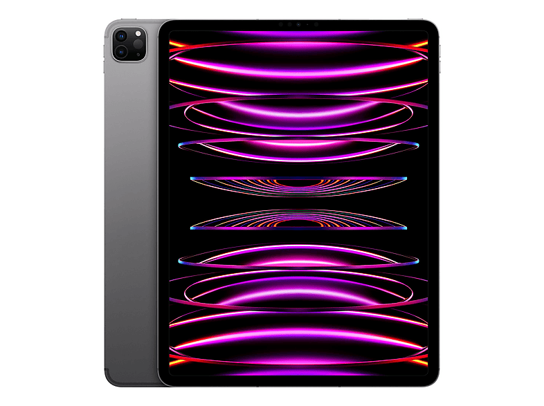 Tablet - Apple 1543494 MP1X3TY/A IPAD PRO 12.9 WF CL 128 GRY 6 GEN, 128 GB, Gris espacial, 12,9 " Retina, 128 GB RAM, Chip M2 de Apple, Tablet iOS