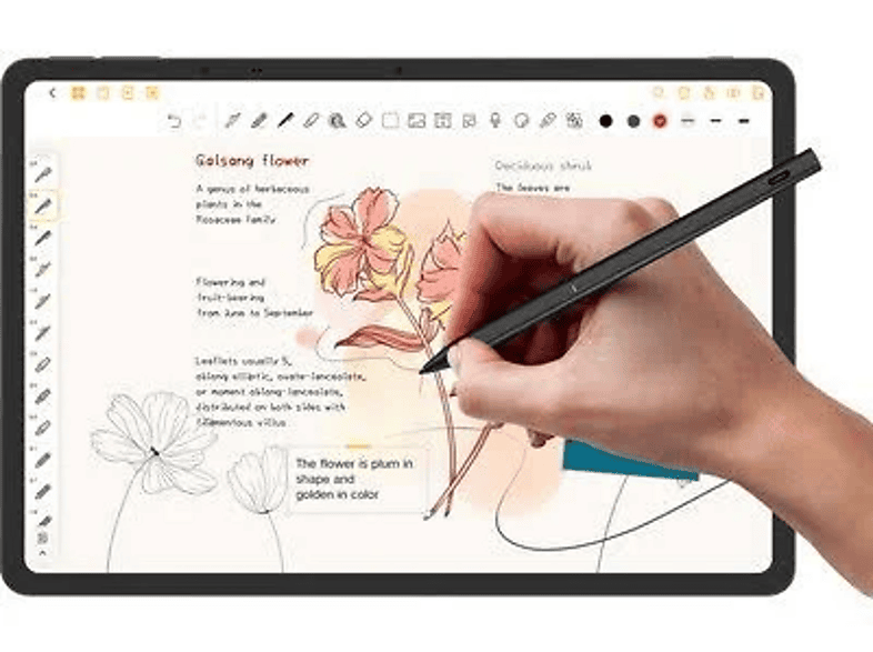 Tablet - TCL NXTPAPER 14, 14.3" 2.4K Mate, 8+8 GB RAM, 256 GB, Funda + Pen, Gray
