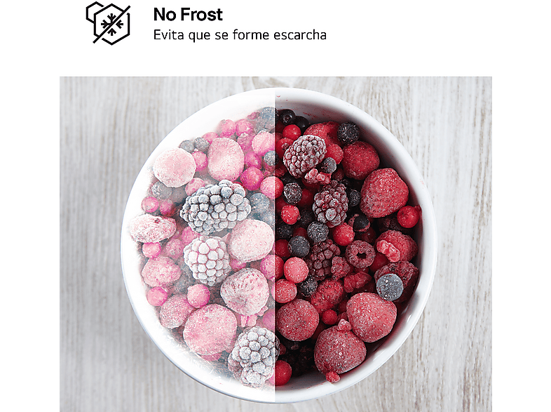 Frigorífico combi - LG GTFN256SER, No Frost, 177 cm, 233 l, Sin panelar