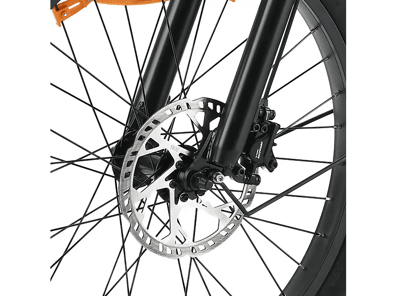 Bicicleta urbana - Youin Dover, 250W, 25 km/h, Autonomía 100 km, Plegable, 3 Ruedas, Portabultos de Gran Capacidad, Verde