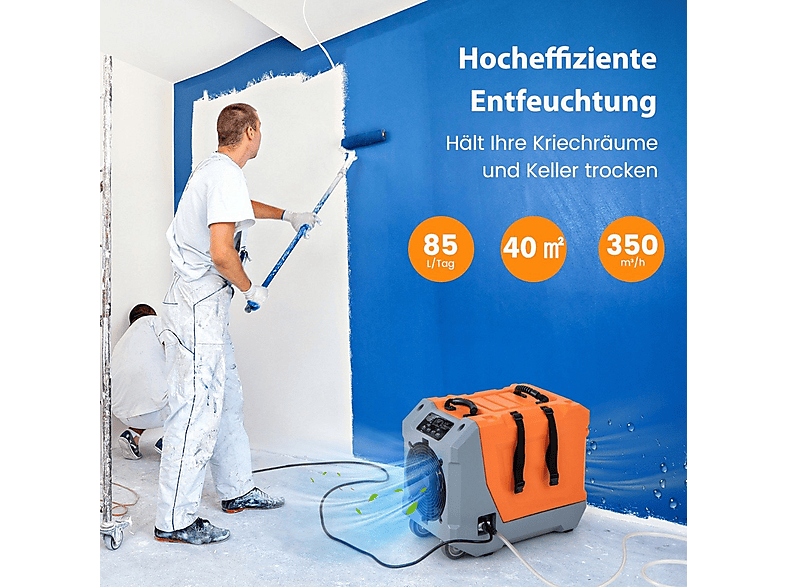Deshumidificador - Northio 81519, 85 l, 40 m², Gris