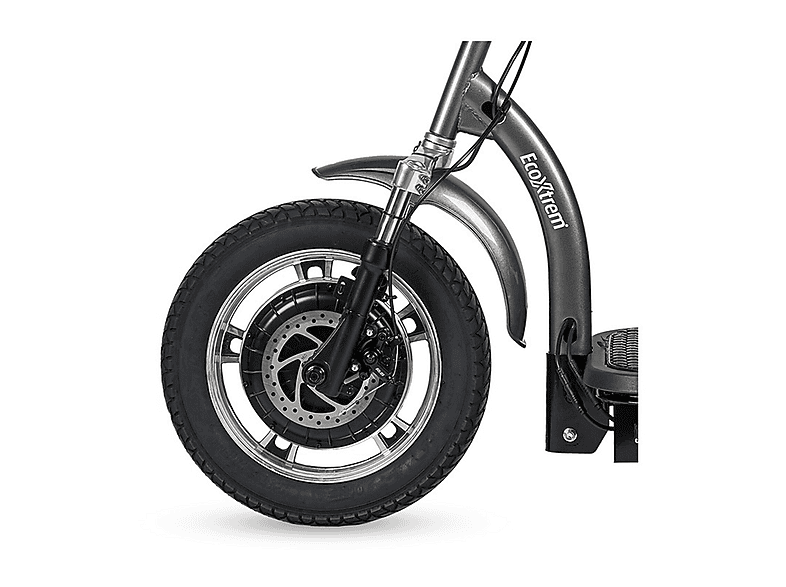Scooter eléctrico de movilidad reducida - Ecoxtrem Triciclo, Gris
