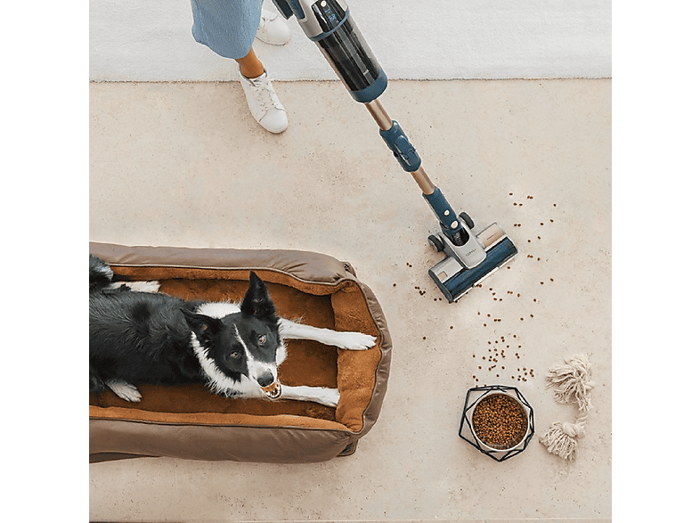 Aspirador escoba - Cecotec A01_EU01_115941/RZ90 AI AQUAPET FLEX CONNECTED, 850 W, Potencia de succión 310 AirWatt, Depósito 0,6 l, Autonomía 120 min
