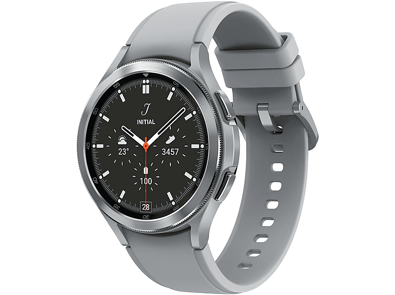 Smartwatch - Samsung SM-R890NZSADBT, 45,5 mm, Acero inoxidable, Plata